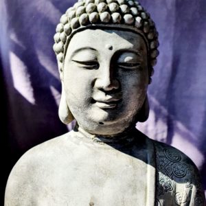 meditation buddha & crown 2